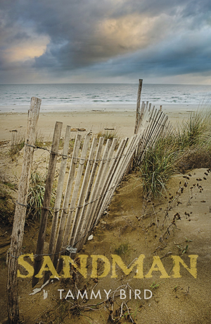 Sandman cover image.