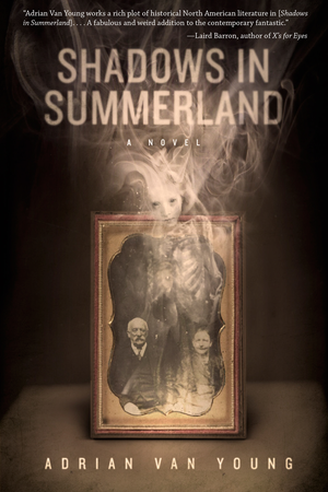 Shadows in Summerland cover image.