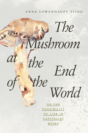 The Mushroom at the End of the World : On the Possibility of Life in Capitalist Ruins cover image.