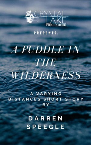 A Puddle In The Wilderness cover image.