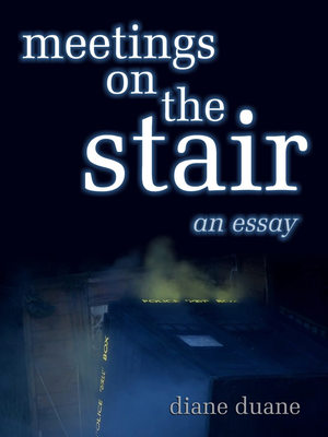 Meetings On the Stair cover image.