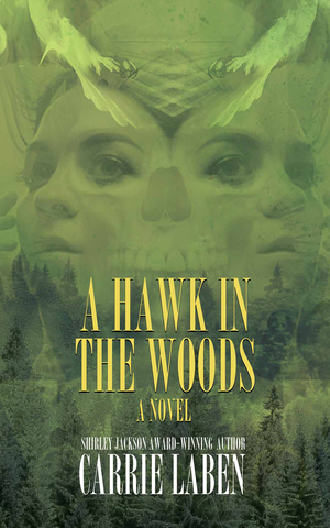 A Hawk in the Woods cover image.