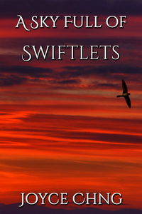 A Sky Full of Swiftlets cover