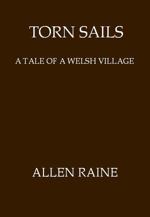 Torn Sails: A Tale of a Welsh Village cover image.