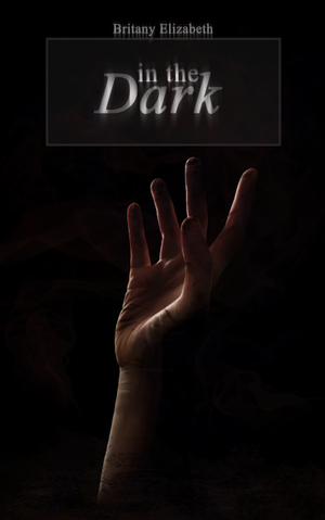 In The Dark cover image.