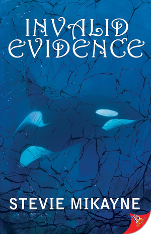Invalid Evidence cover image.