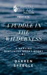 Cover of A Puddle In The Wilderness