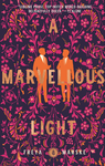 Cover of A Marvellous Light