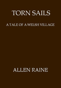 Torn Sails: A Tale of a Welsh Village cover