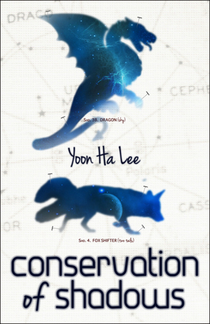 Conservation of Shadows cover image.