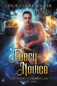 Faery Novice: The Faery Chronicles Book One cover
