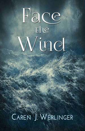 Face the Wind cover image.