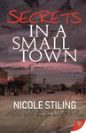 Cover of Secrets in a Small Town