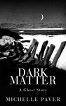 Cover of Dark Matter