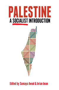 Palestine: A Socialist Introduction cover