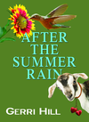 Cover of After the Summer Rain