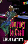 Cover of Journey to Cash