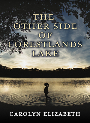 The Other Side of Forestlands Lake cover image.