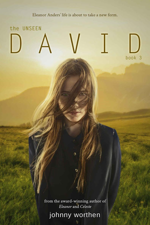 David: Book 3 (The Unseen) cover image.